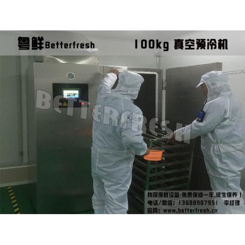 食品保鮮機 科技賦能，鎖住新鮮與健康——保鮮冷藏設備產品列表第86頁深度解析